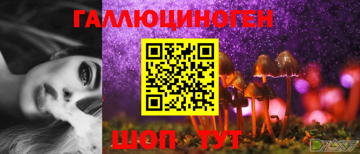 Йошкар-Ола  Псилоцибиновые грибы Psilocybe  Вход с VPN 